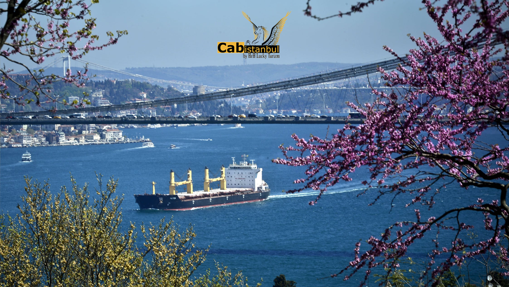 car rental istanbul