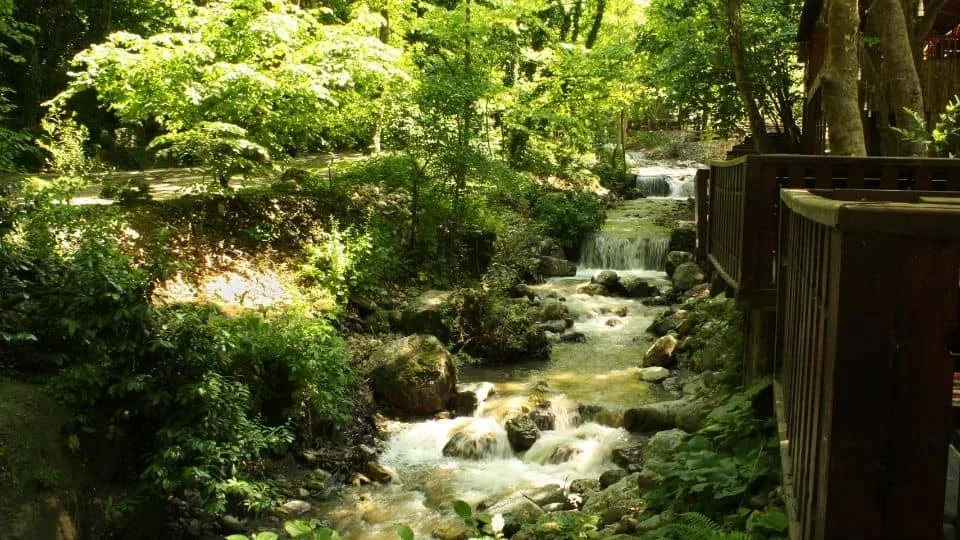 Sapanca & Masukiye Tour From Istanbul