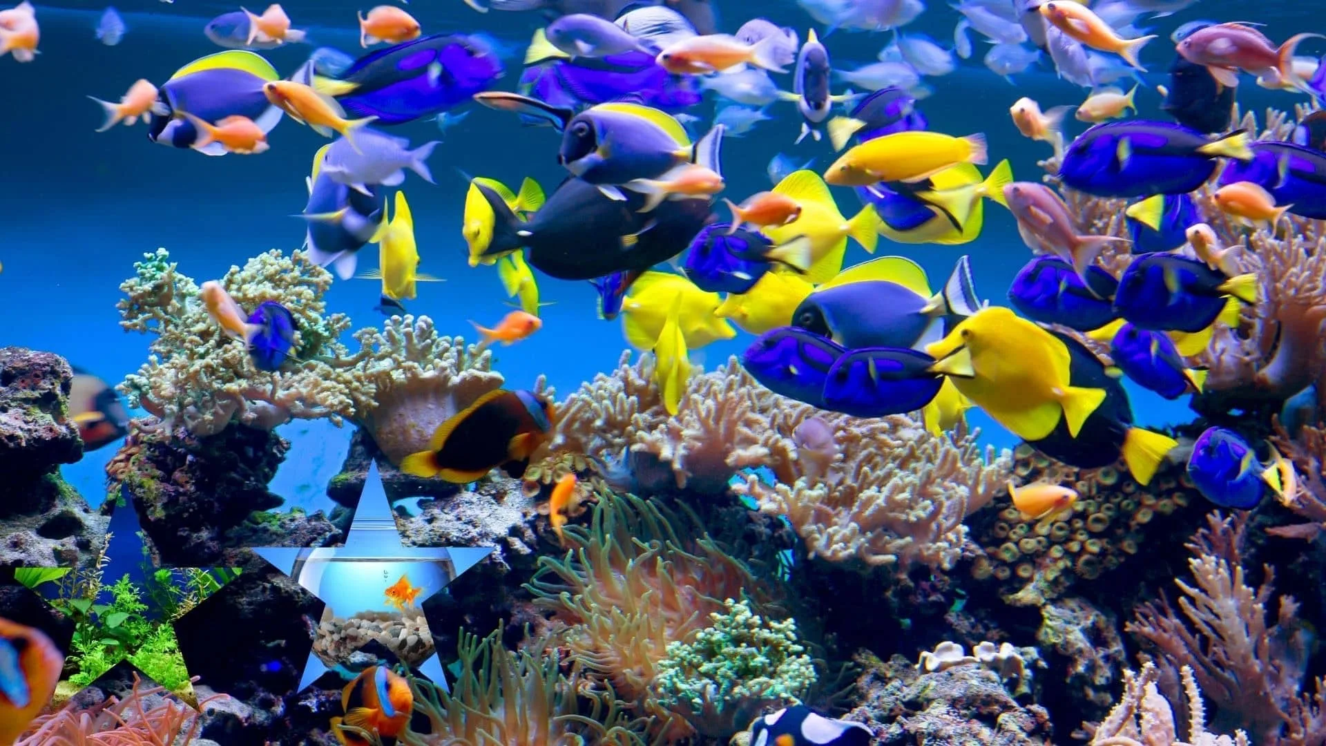Istanbul Aquarium & Aqua Florya