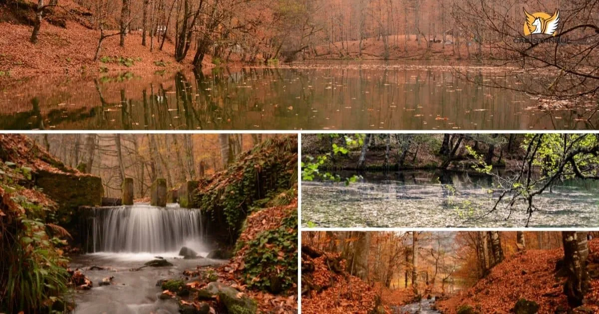 Yedigoller National Park