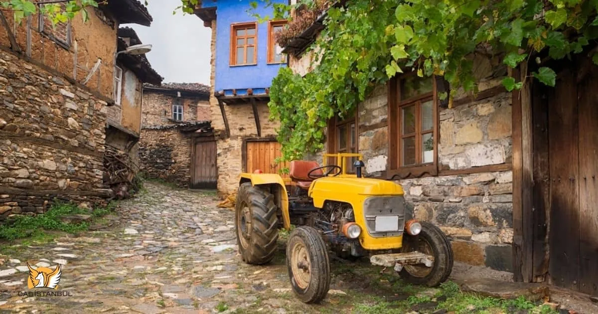 Cumalıkızık Village / Bursa