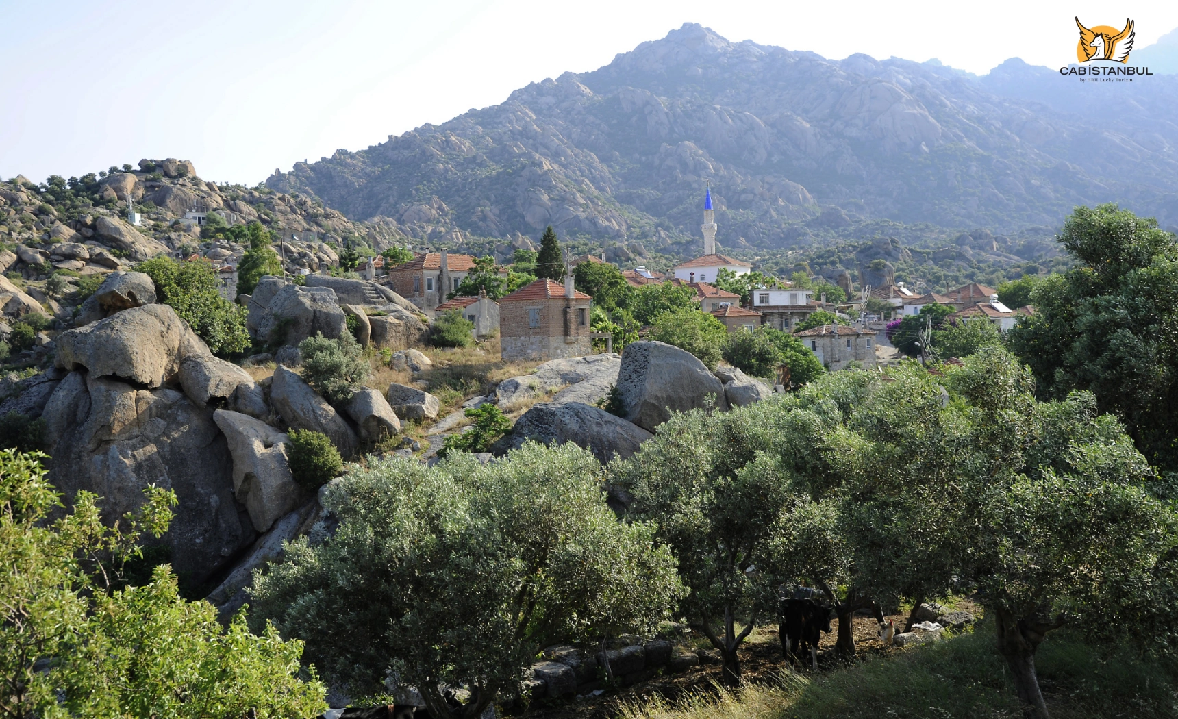 Olive groves and village setting near Kapıkırı on Lake Bafa