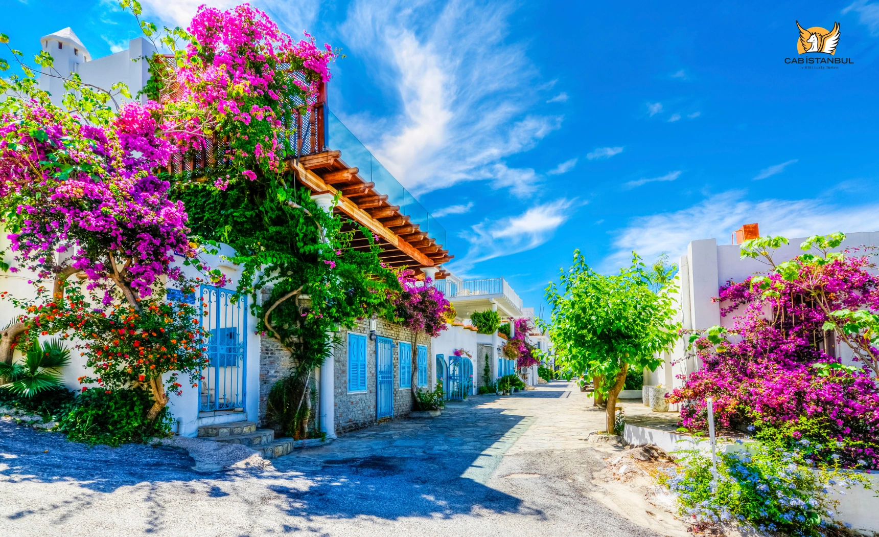 Whitewashed houses and narrow streets in Bodrum on the Aegean peninsula