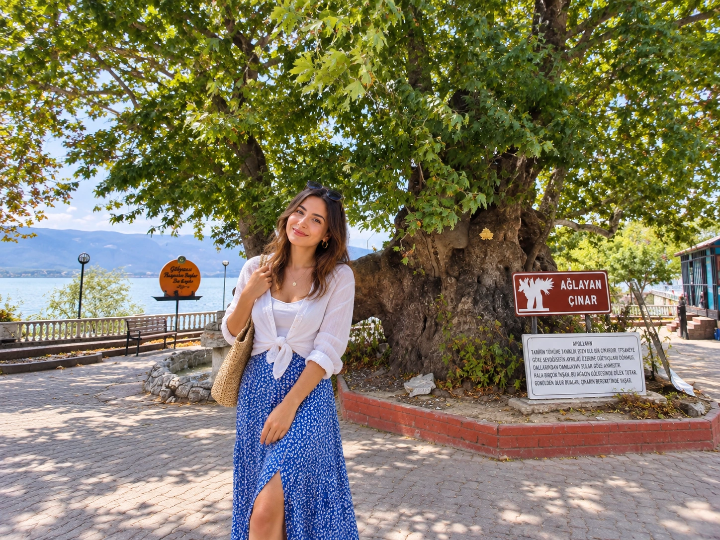Ağlayan Çınar weeping plane tree monument in Gölyazı, Bursa
