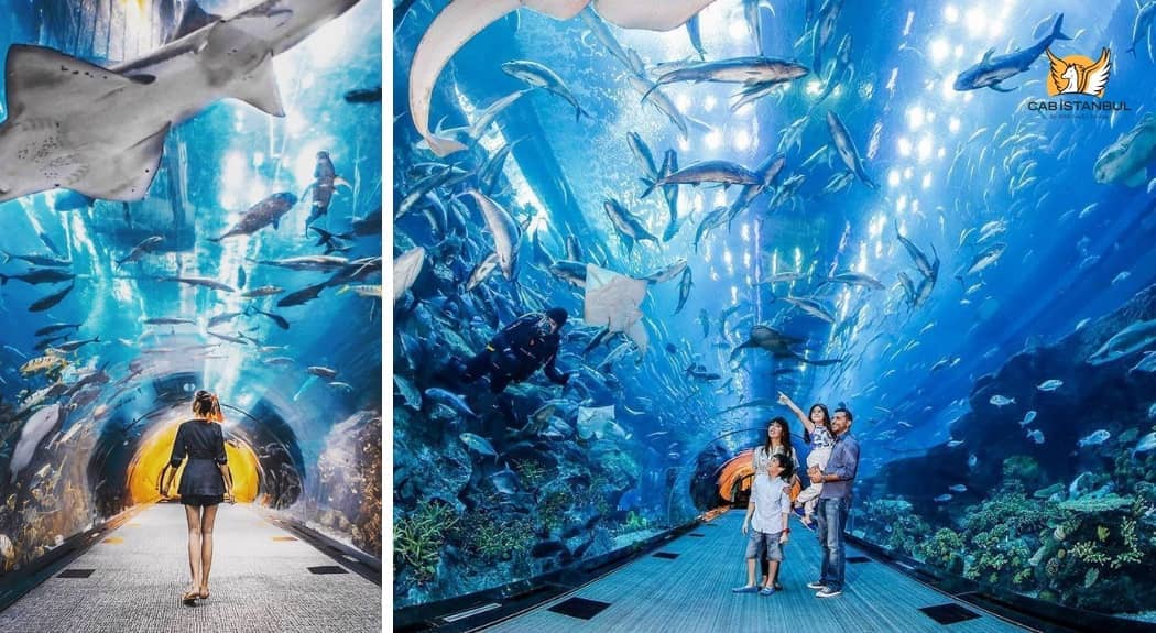 Istanbul Aquarium & Aqua Florya