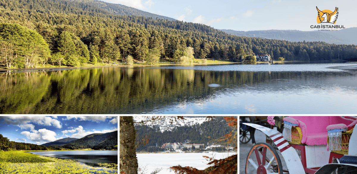 Abant Lake Bolu / Turkey