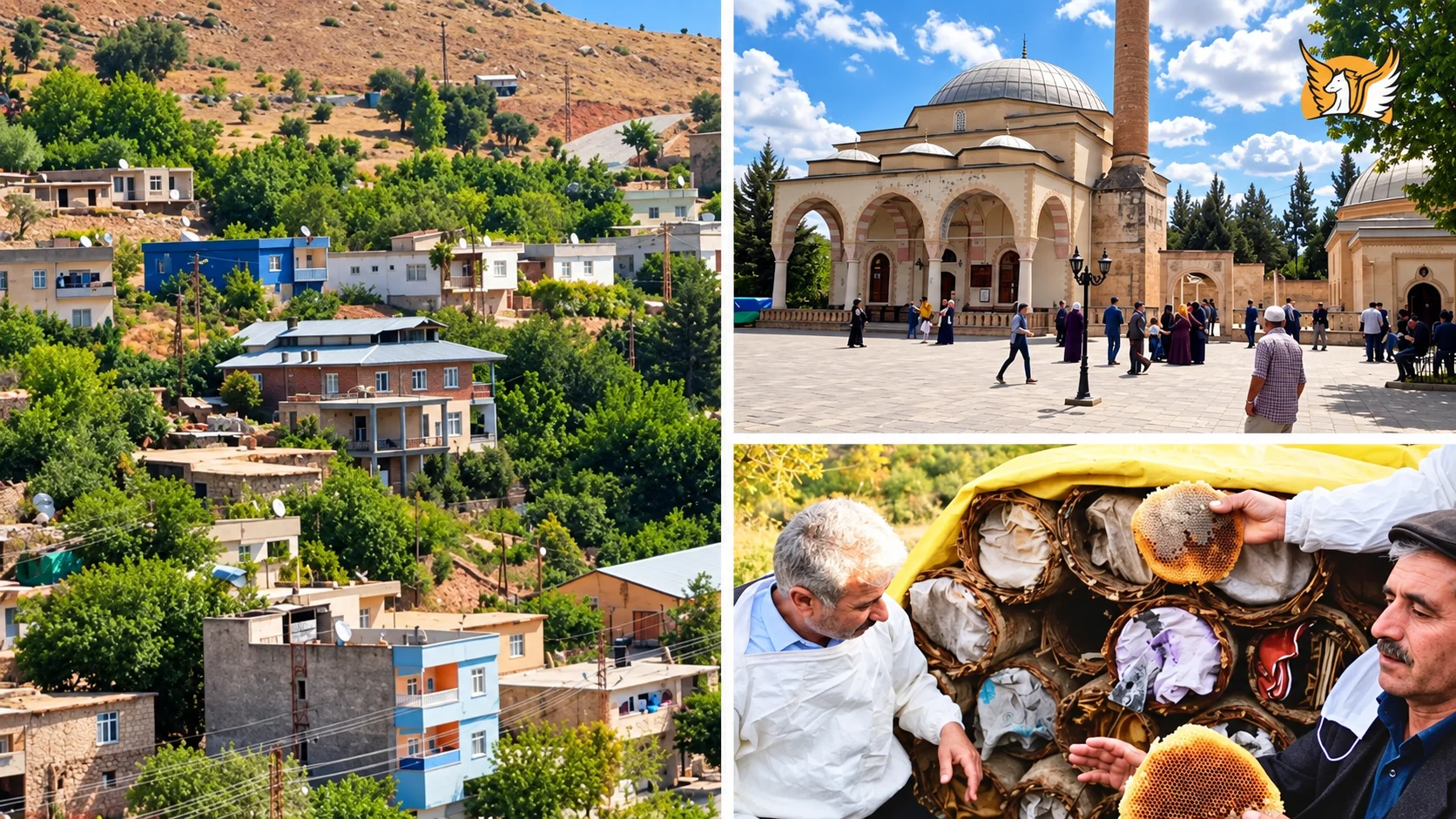 Siirt şehir merkezinde yamaca yayılan evler ve cami avlusu
