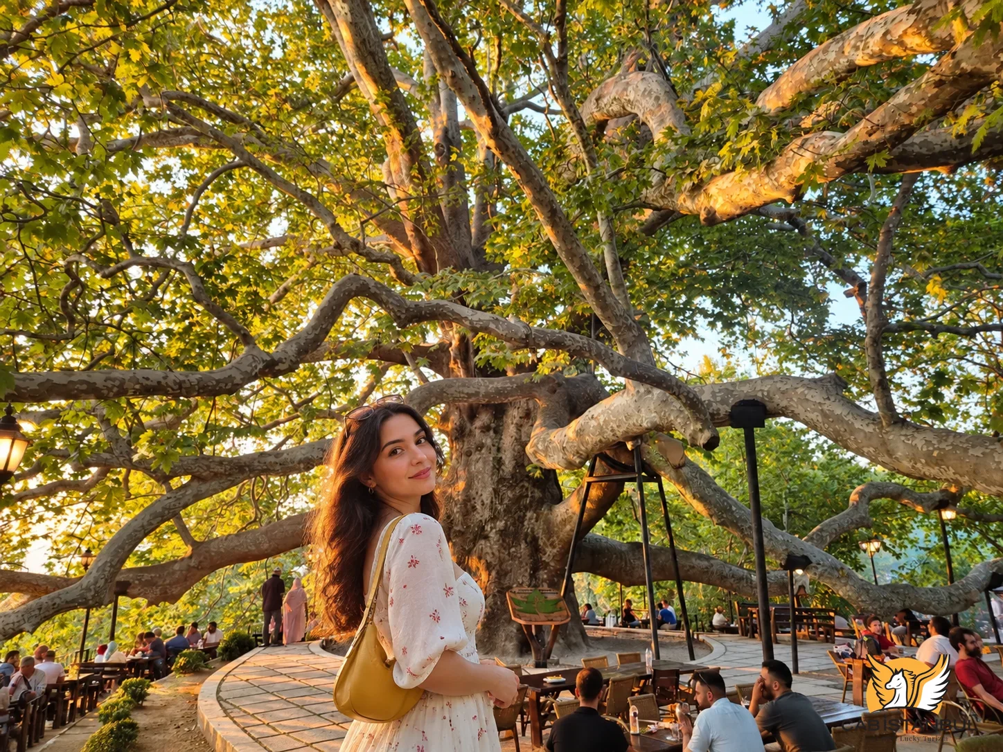 İnkaya Plane Tree stop on a private Bursa itinerary